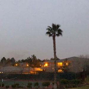 Meet your Posher, Stella